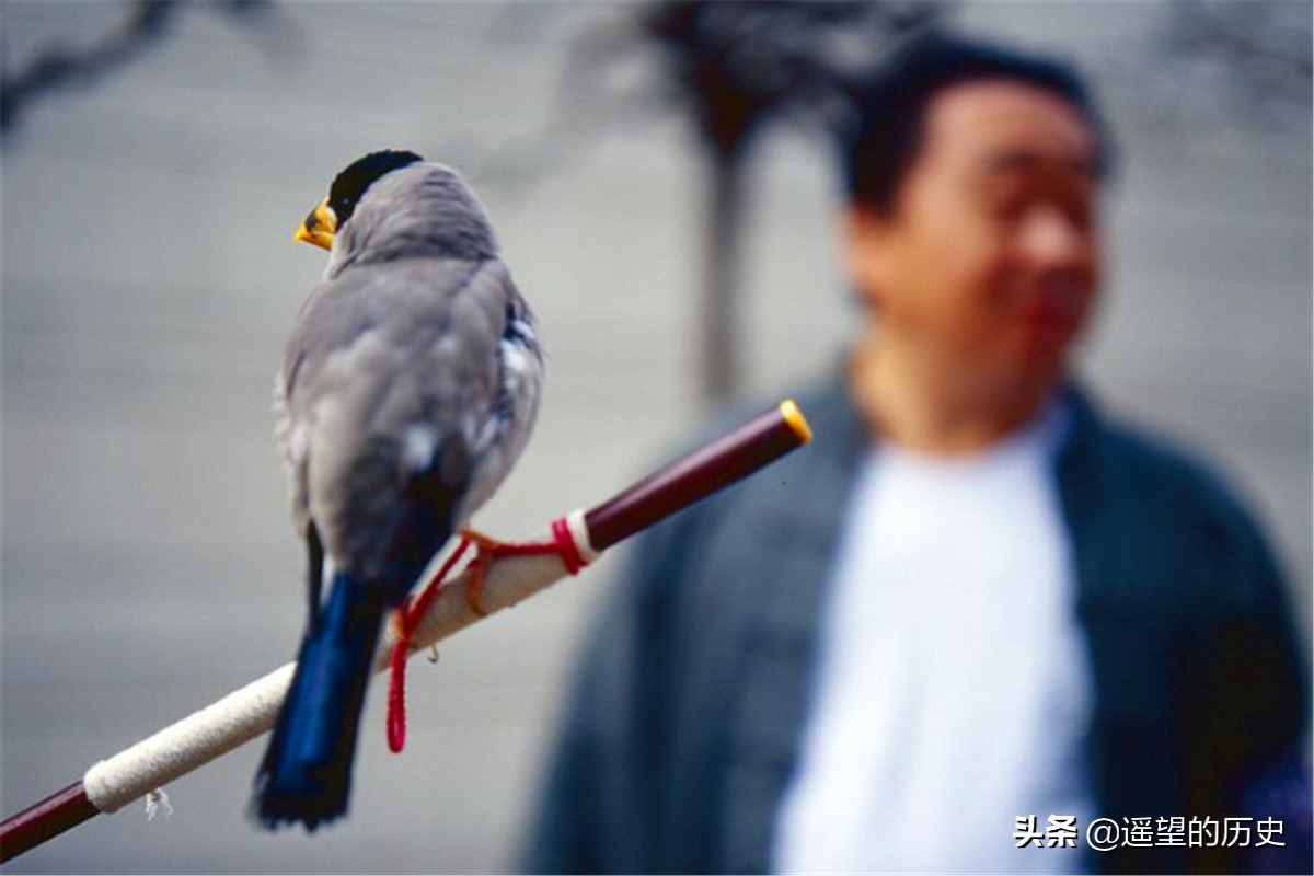 民間俗語說：“三長兩短”，是哪三長？哪兩短？可惜十人九不知