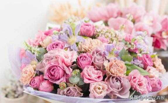 總送鮮花誰(shuí)不膩？其實(shí)教師節(jié)還可以送這些花