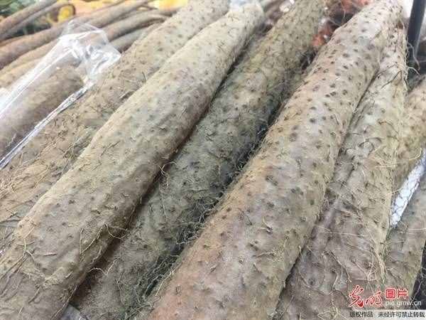 為什么山藥能健脾養(yǎng)胃？2種山藥做法改善積食、消化不良