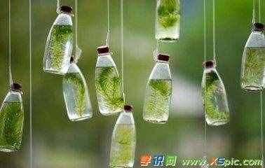 寄托的近義詞是什么及造句