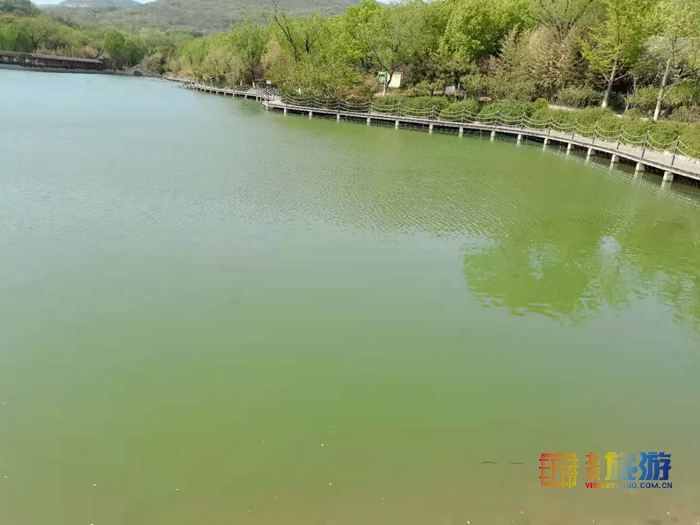 五一去哪玩？北京豐臺(tái)北宮森林公園，不是江南勝似江南！