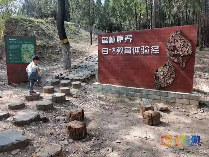 五一去哪玩？北京豐臺(tái)北宮森林公園，不是江南勝似江南！