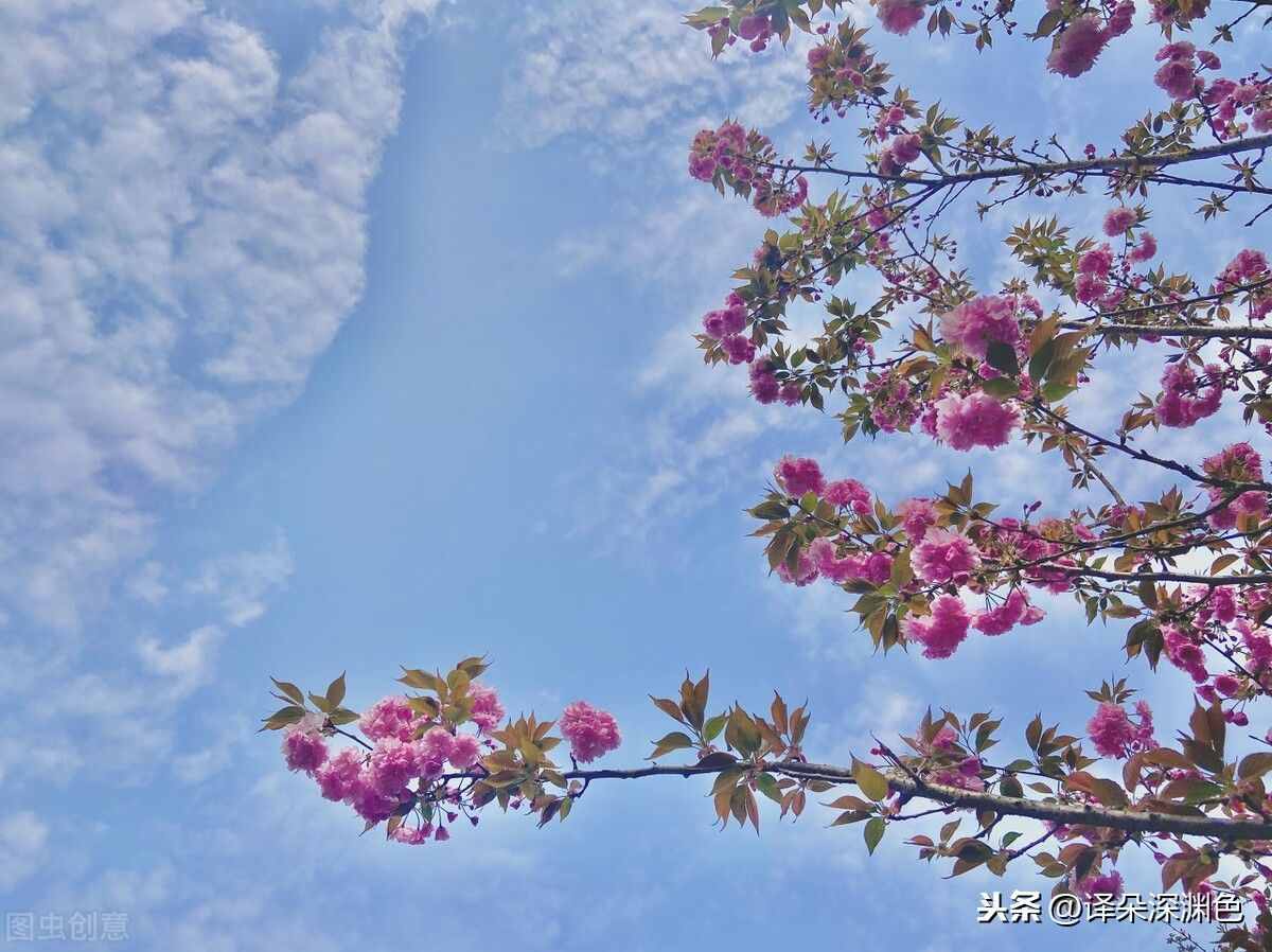 理性的人和感性的人的區(qū)別