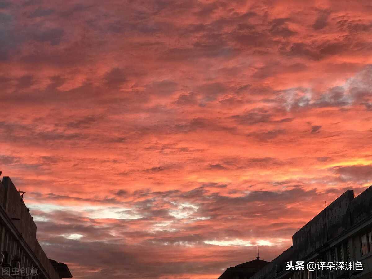 理性的人和感性的人的區(qū)別