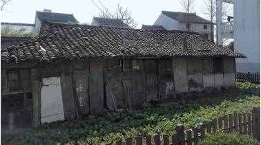 你知道嗎，上海從前是“仙鶴之鄉(xiāng)”