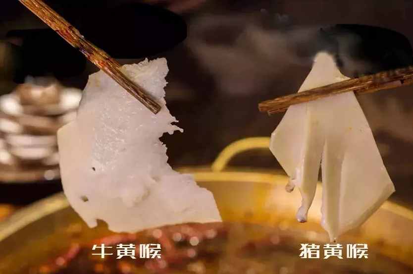 重慶火鍋里的黃喉，是動物哪個部位，常吃有沒有毒呢？今天告訴你