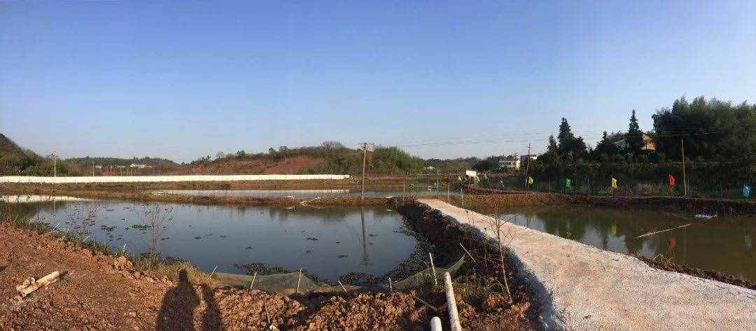 曬太陽、吃農(nóng)家柴火飯，衡陽這14家農(nóng)莊最遠車程不到1小時