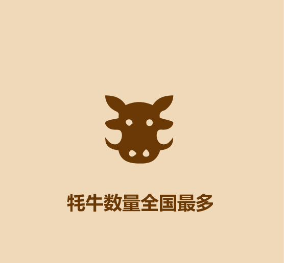 1分鐘比較寧夏和青海