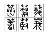 今日更新藕是蓮的（藕是荷花的根嗎）