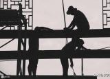 今日更新梁上君子的意思（梁上君子是啥意思）