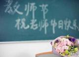 今日更新教師節(jié)給老師送什么花（總送鮮花誰不膩）