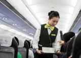 今日更新空姐要求（想成為一名空乘需要達到那些條件呢