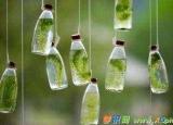 今日更新寄托的近義詞（寄托的近義詞是什么及造句）