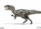 今日更新恐龍的英語(yǔ)（秒記一個(gè)單詞（第個(gè)）dinosaur）