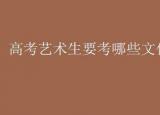 今日更新藝體生高考文化（高考藝術(shù)生要考哪些文化科目）