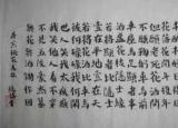 今日更新桃花仙人（桃花）