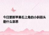 今日更新蘋果右上角的小斜箭頭是什么意思