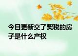 今日更新交了契稅的房子是什么產(chǎn)權(quán)