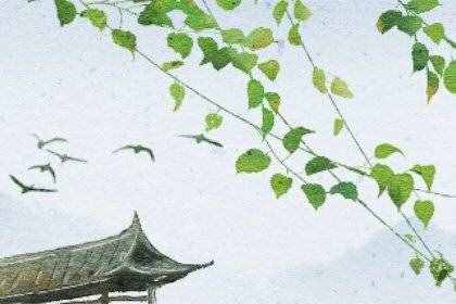 風(fēng)景70