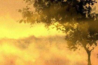 風(fēng)景34