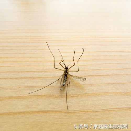 蚊香真的有毒嗎？2位醫(yī)生給一個(gè)真相！