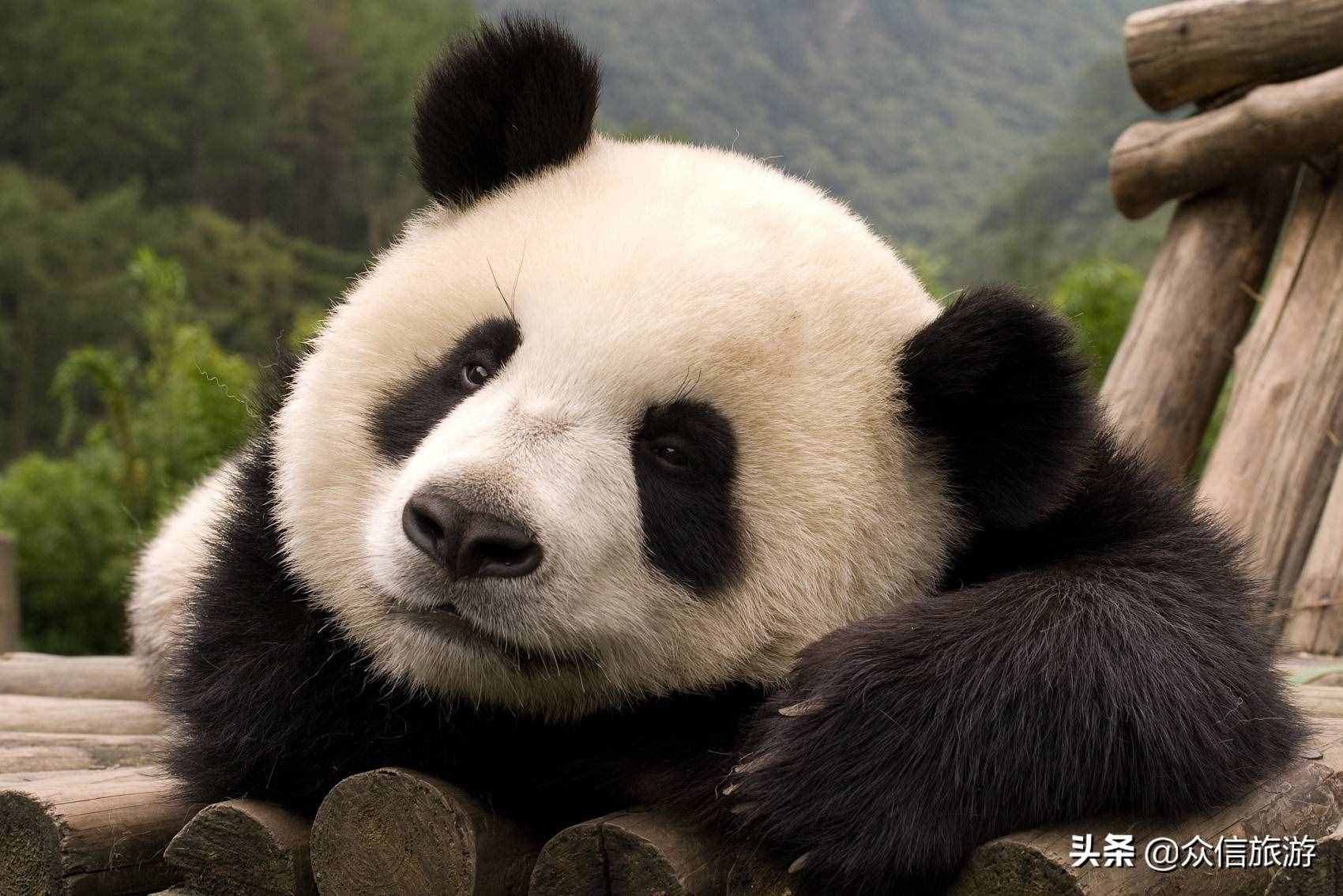 推薦8個(gè)畢業(yè)旅行勝地，青春，就應(yīng)該定格在這些地方