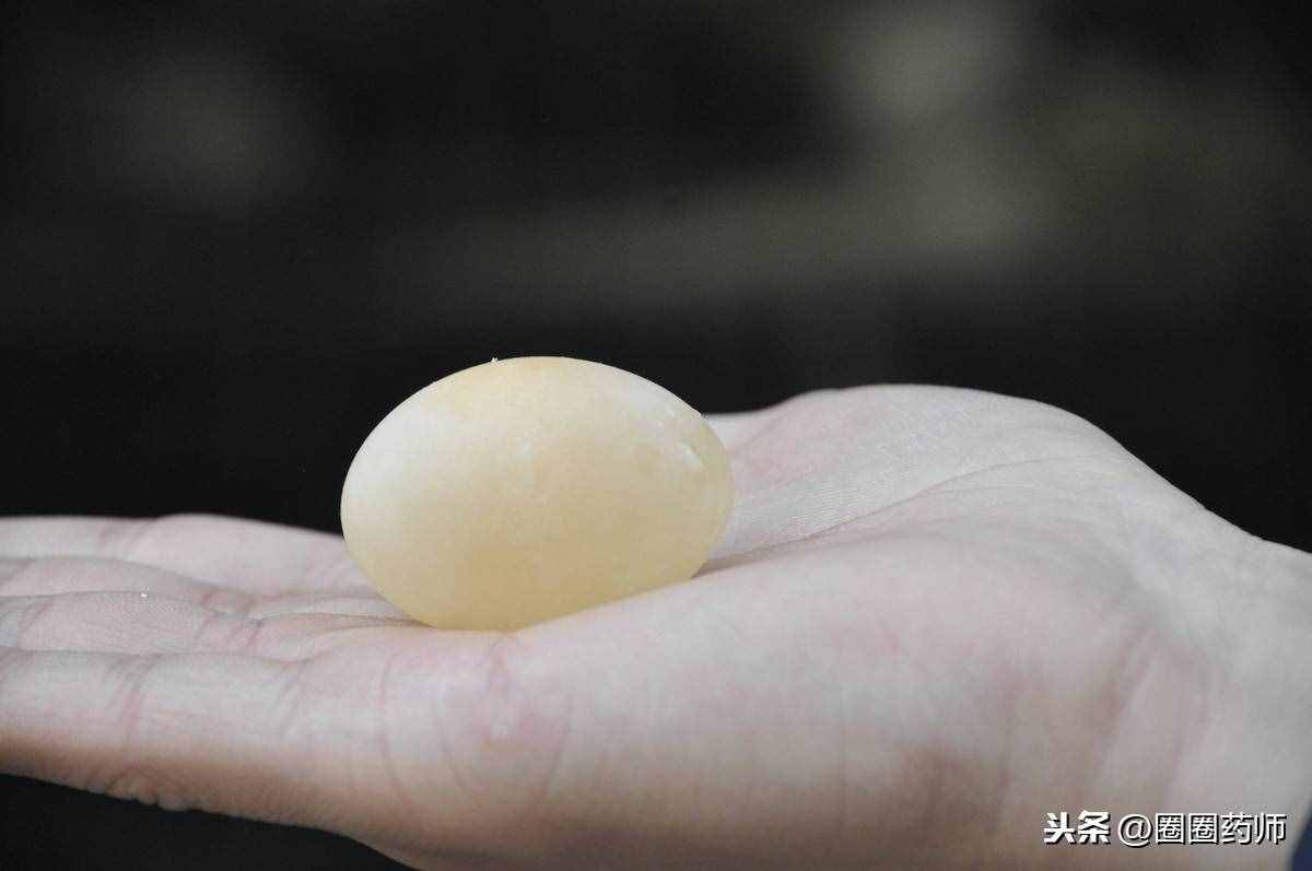 鴿子蛋到底有多補(bǔ)？