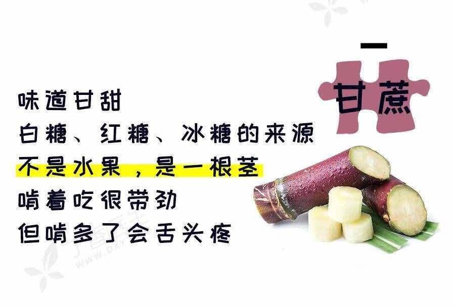 冬天最好吃的十種水果，照著挑就行