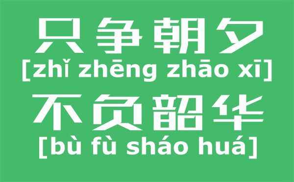 只爭朝夕不負(fù)韶華是什么意思,只爭朝夕不負(fù)韶華的含義