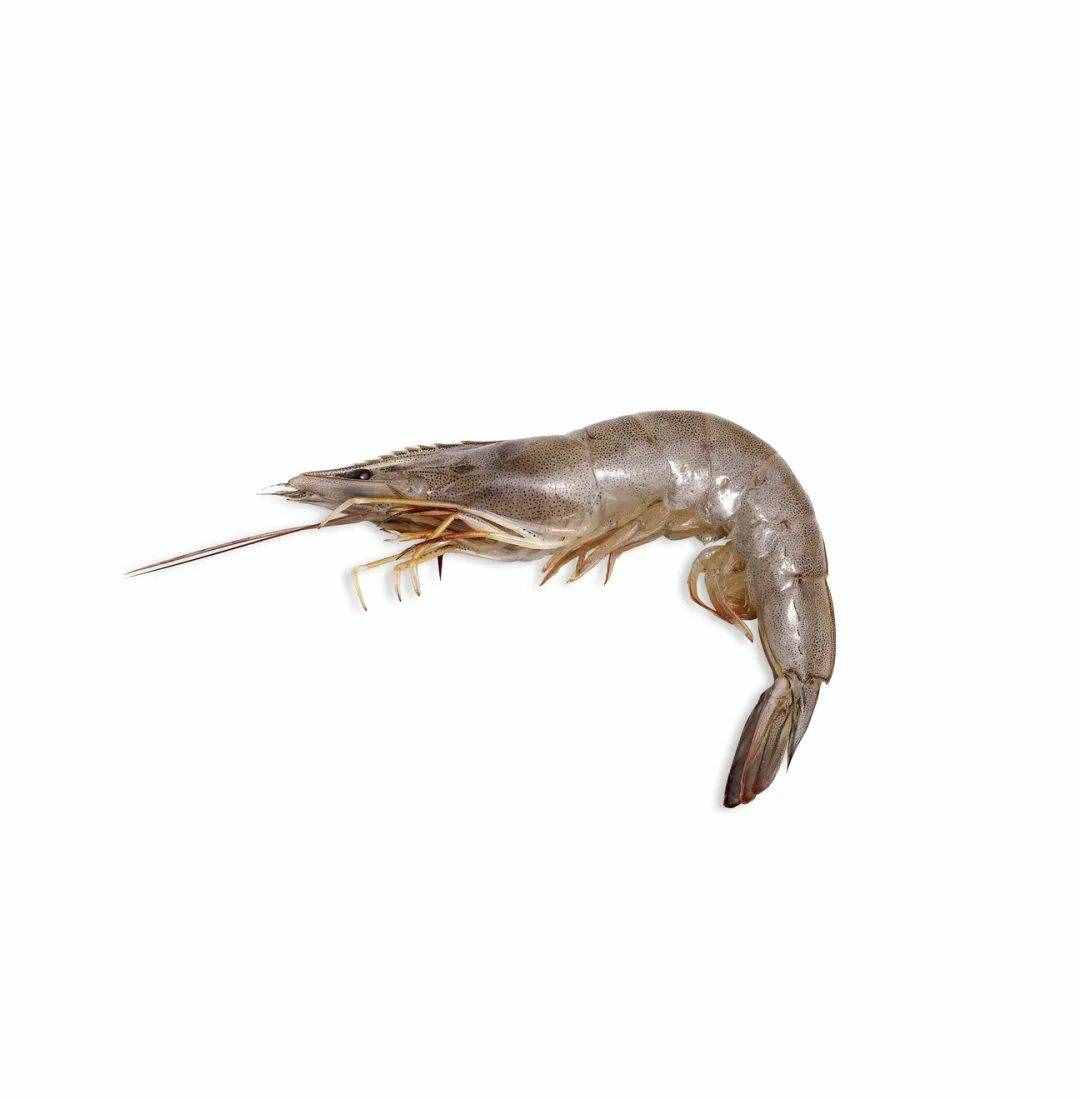 補(bǔ)鐵別只知道吃紅棗！真正補(bǔ)鐵的 23 種食物都在這里