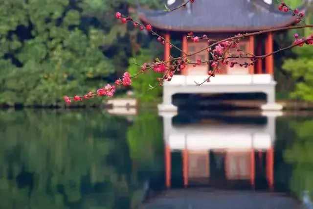 “人不為己，天誅地滅”，原來是這個(gè)意思！