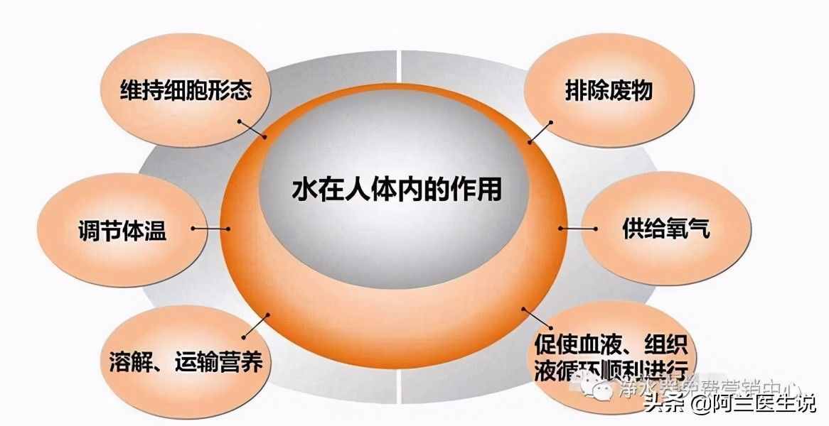 詳解人體含量最多的營(yíng)養(yǎng)素——「水」