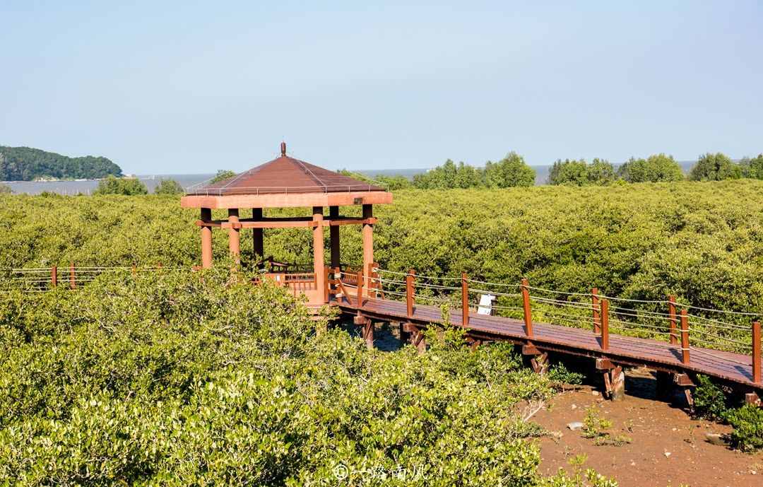 陽江海陵島，既是廣東第四大島，也是“中國十大最美海島”之一