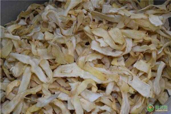 玉竹現(xiàn)在多少錢一斤？有哪些藥用功效與食療方？