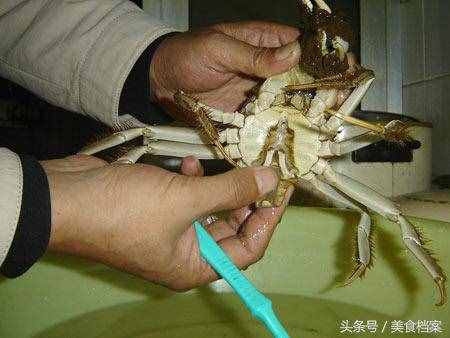 螃蟹清洗技巧和方法：大閘蟹怎么處理才能清洗干凈內(nèi)臟和身體？