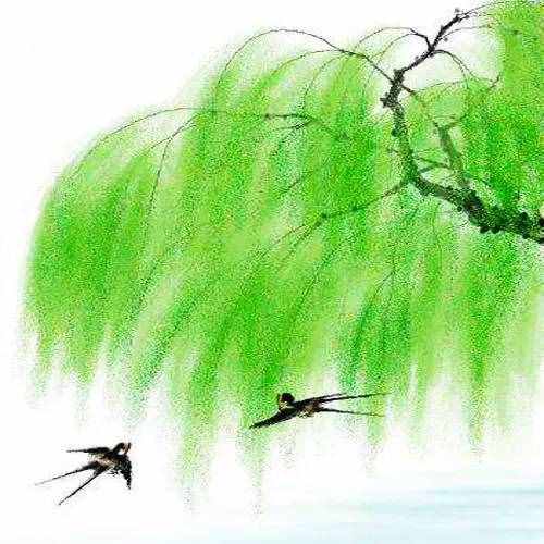 不知細(xì)葉誰裁出，二月春風(fēng)似剪刀丨讀典