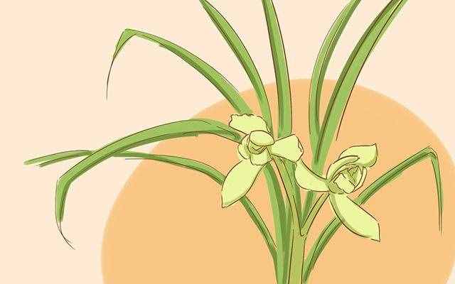 探望老人，別說(shuō)不知道送啥了？這4款禮物，比送煙酒更體面
