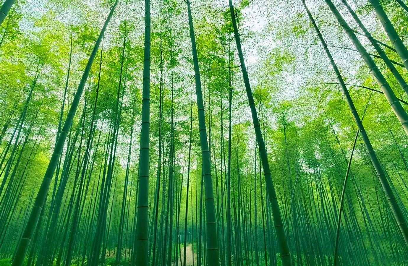 江蘇常州旅行攻略｜來(lái)常州必玩的7個(gè)景點(diǎn)