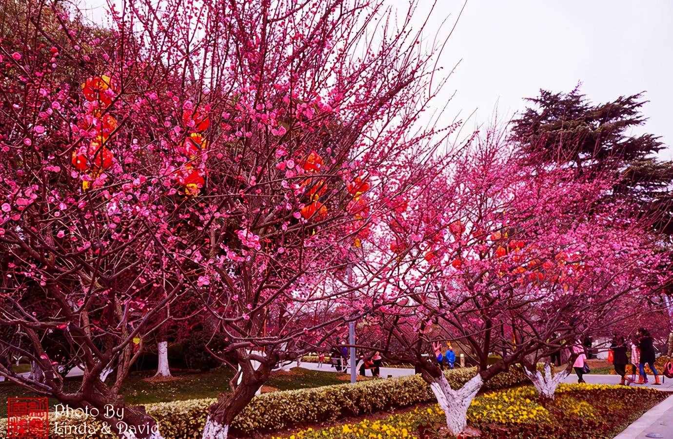 江蘇常州旅行攻略｜來(lái)常州必玩的7個(gè)景點(diǎn)