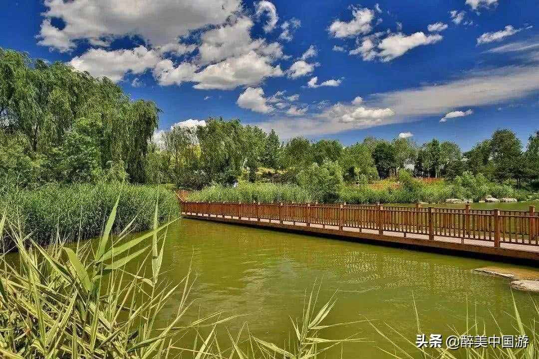 探訪南海大濕地公園，體驗新西蘭土著風(fēng)情的三大島區(qū)，適合親子游