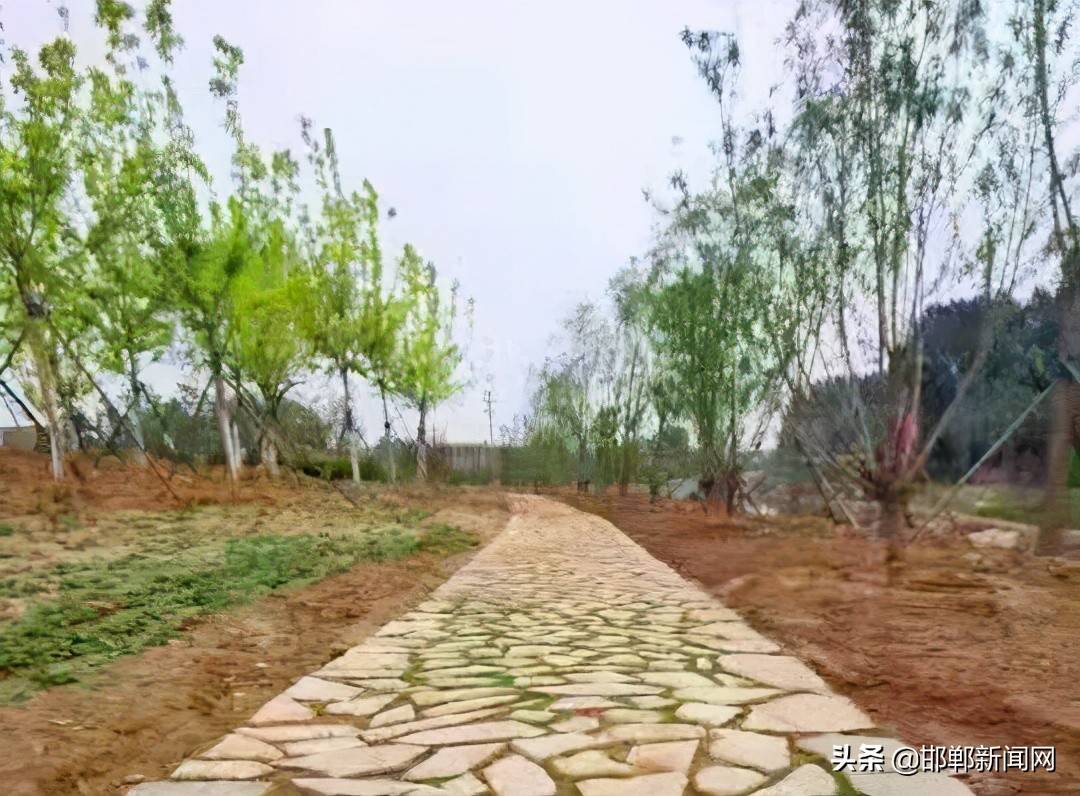 復興區(qū)又多了一個免費好去處