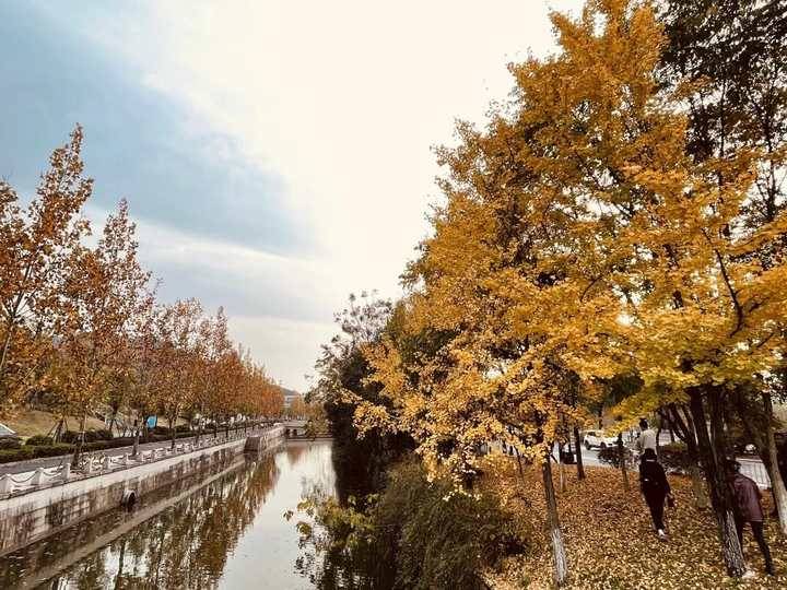 ?太美了！杭州湘湖賞秋拍攝路線大揭秘，還有出片小心機分享