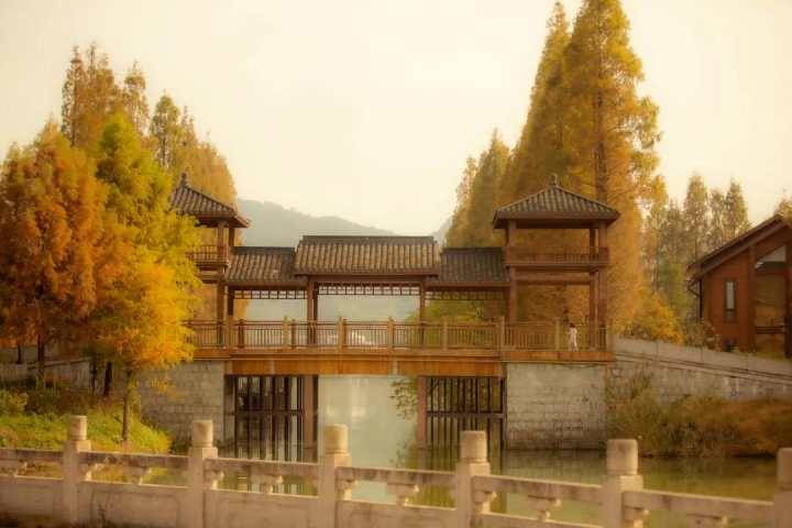 ?太美了！杭州湘湖賞秋拍攝路線大揭秘，還有出片小心機分享