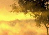 今日更新端午節(jié)祝福領(lǐng)導(dǎo)短信（端午節(jié)適合給領(lǐng)導(dǎo)發(fā)祝福語(yǔ)嘛）