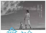 今日更新公益海報(bào)素材（看完這些日本的公益海報(bào)）