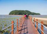 今日更新海陵島在哪里（海陵島）