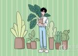 今日更新說明文的說明順序（說明文的說明順序有哪幾種）