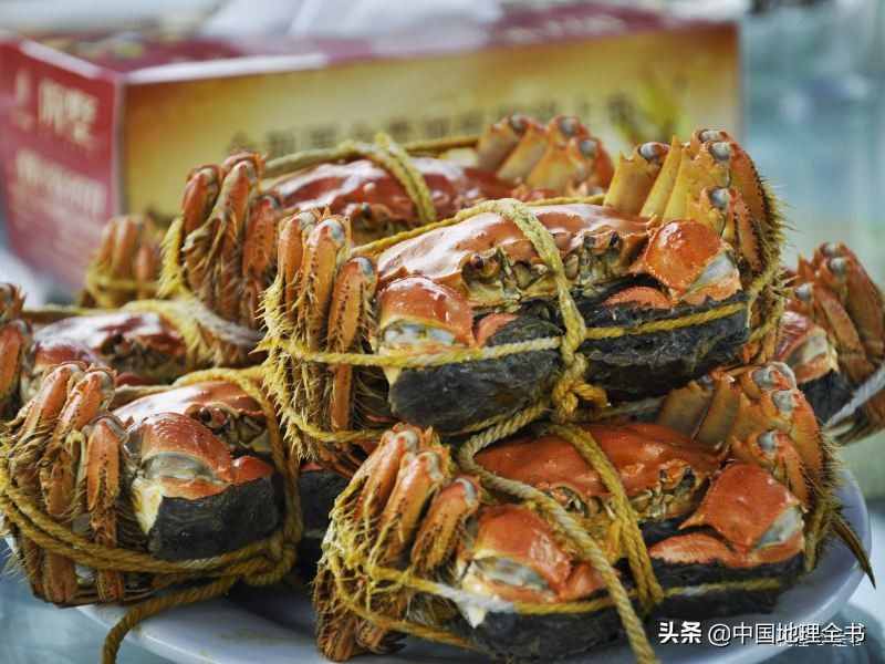 蘇州陽澄湖簡介