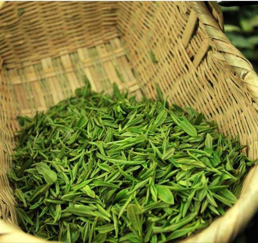 中國十大名茶的美麗傳說-龍井茶的傳說故事