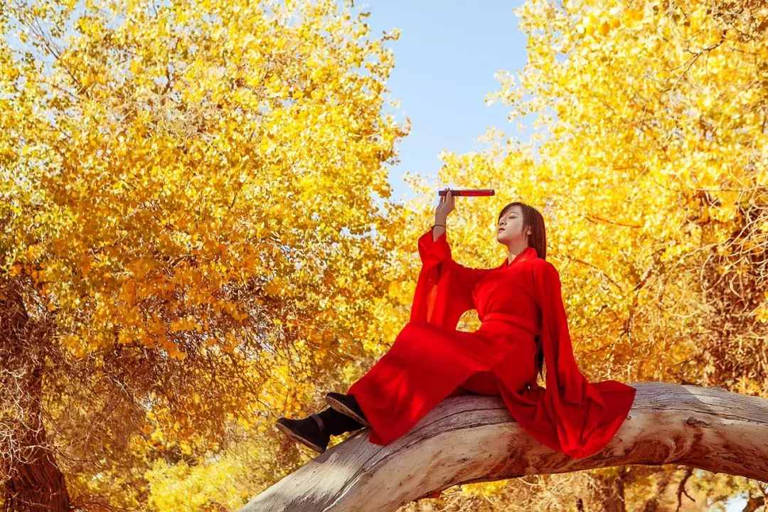 什么時候去額濟(jì)納景色最好？怎么去？額濟(jì)納最全攻略送給你